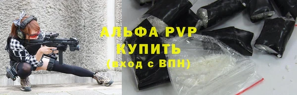 амф Ельня