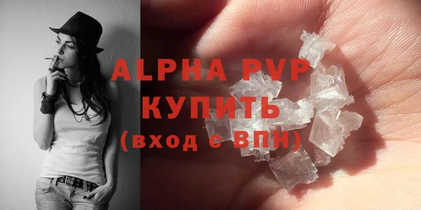 амф Ельня
