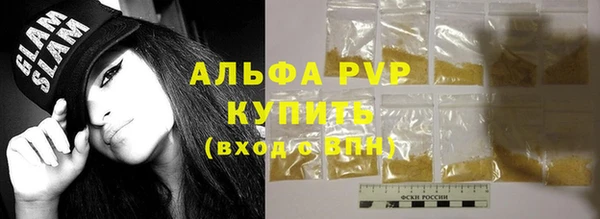 амф Ельня