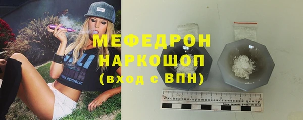 амф Ельня
