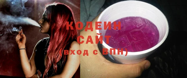 амф Ельня