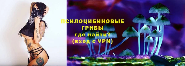 прущие крисы Елабуга