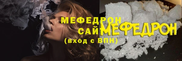 амф Ельня