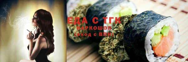 амф Ельня