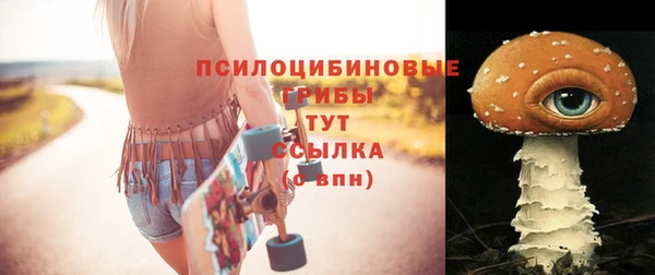 амф Ельня