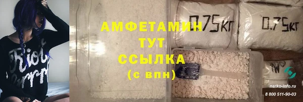 прущие крисы Елабуга