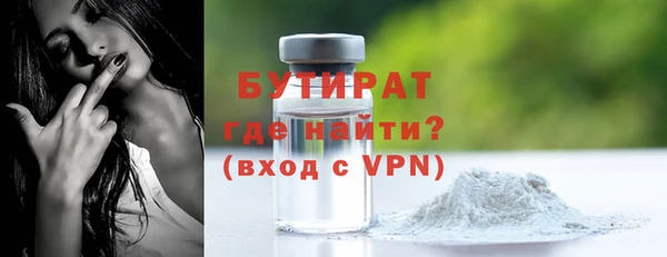 амф Ельня