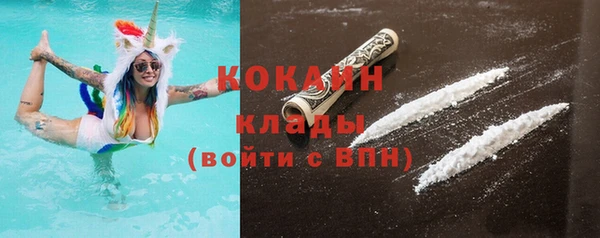 амф Ельня