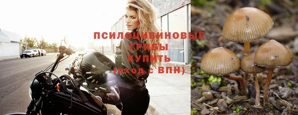 амф Ельня