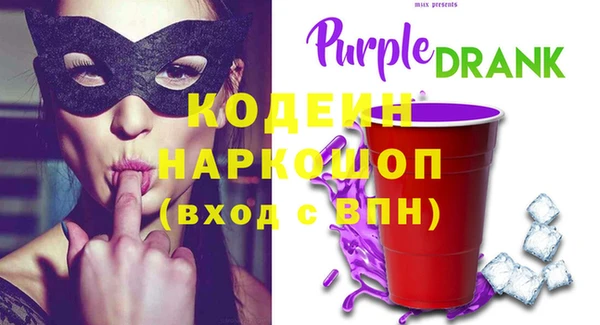 амф Ельня