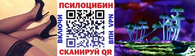 Псилоцибиновые грибы мицелий  Жуковский 